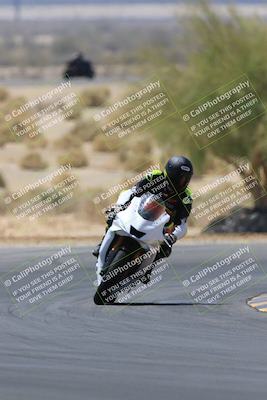 media/May-14-2023-SoCal Trackdays (Sun) [[024eb53b40]]/Turn 5 Tree of Life (1125am)/